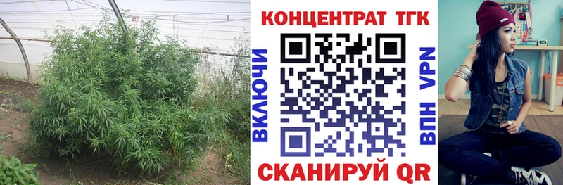 Дистиллят ТГК Wax  Калтан 