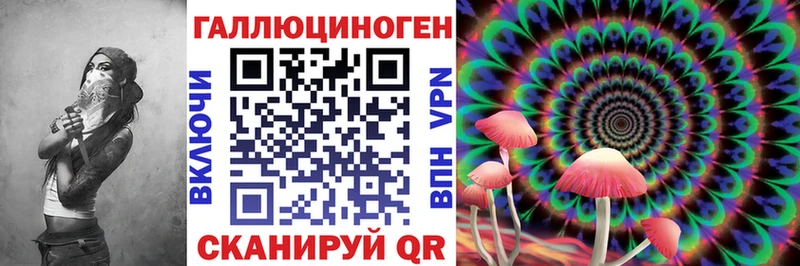 Псилоцибиновые грибы Psilocybe  Калтан 