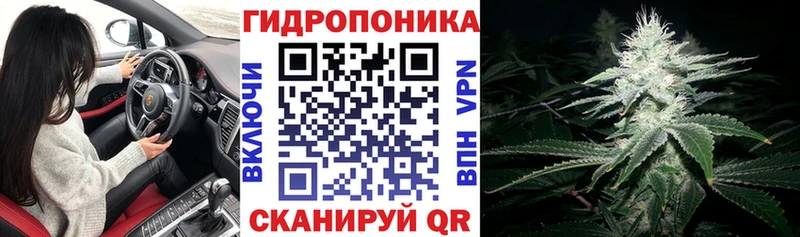 Шишки марихуана THC 21%  продажа наркотиков  Калтан 